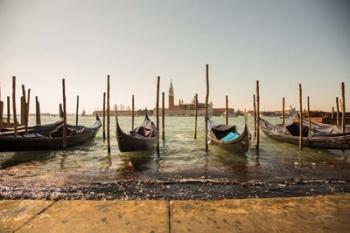 Venice Gondolas | Obraz na stenu