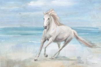 Gallop on the Beach | Obraz na stenu