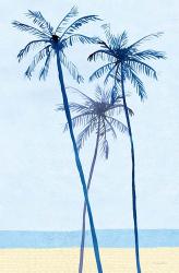 Laguna Palms Triptych II | Obraz na stenu