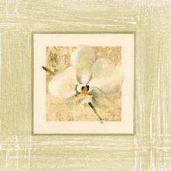 Exotic Floral III | Obraz na stenu