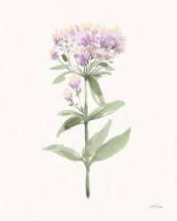Flowers of the Wild II Pastel | Obraz na stenu