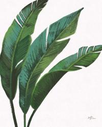 Emerald Banana Leaves I | Obraz na stenu