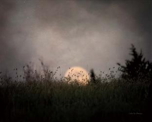 The Prairie Moon | Obraz na stenu