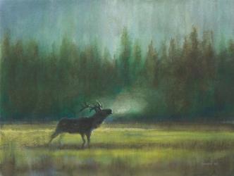 Voice of the Wild | Obraz na stenu