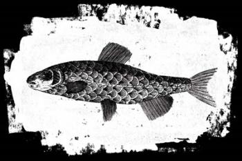 Fish II | Obraz na stenu