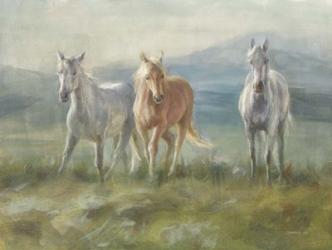 Rangeland Horses | Obraz na stenu