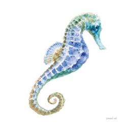 Undersea Seahorse | Obraz na stenu