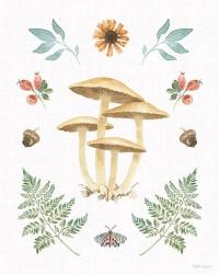 Forest Finds X | Obraz na stenu