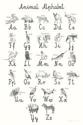 Animal Alphabet | Obraz na stenu