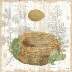 Botanical Nest IV | Obraz na stenu