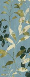 Leaves on Blue I | Obraz na stenu