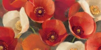 Poppies Bloom I | Obraz na stenu