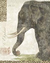 L'Elephant | Obraz na stenu