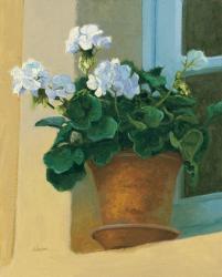 Creancey Geraniums I | Obraz na stenu