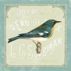 Parisian Bird I | Obraz na stenu