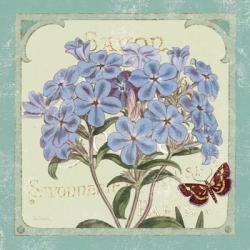 Parisian Flower  II | Obraz na stenu