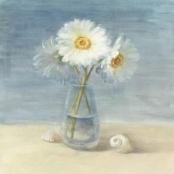 Daisies and Shells | Obraz na stenu