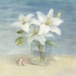 Lilies and Shells | Obraz na stenu