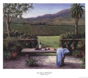 Overlooking the Vineyard | Obraz na stenu