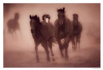 Sepia Horses | Obraz na stenu