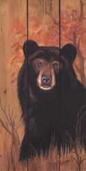 Bear | Obraz na stenu