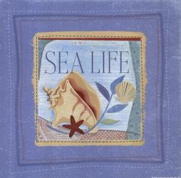 Sea Life | Obraz na stenu