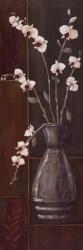 Delicate Orchids I | Obraz na stenu