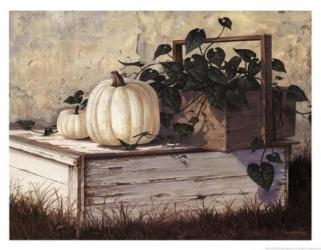 White Pumpkins | Obraz na stenu