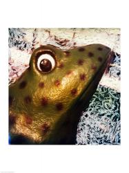Profile of playground frog | Obraz na stenu