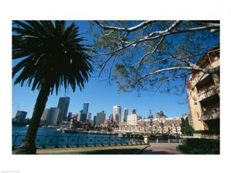 Buildings on the waterfront, Sydney, New South Wales, Australia | Obraz na stenu