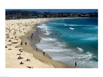 High angle view of tourists on the beach, Sydney, New South Wales, Australia | Obraz na stenu