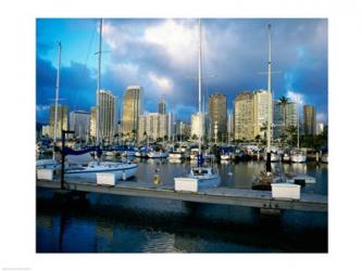 Sailboats docked in a harbor, Ala Wai Marina, Waikiki Beach, Honolulu, Oahu, Hawaii, USA | Obraz na stenu
