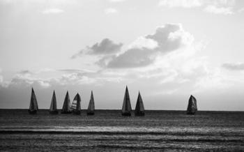 Group of Sailboats Sailing in the Sea | Obraz na stenu