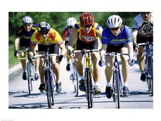 Group of cyclists riding bicycles | Obraz na stenu