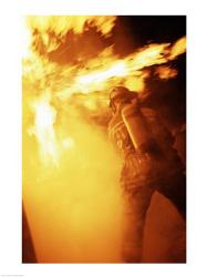 Fireman fighting with fire flames | Obraz na stenu