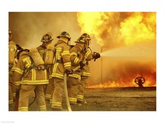 Rear view of a group of firefighters extinguishing a fire | Obraz na stenu