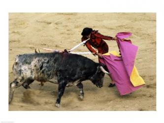 High angle view of a matador fighting with a bull, Spain | Obraz na stenu