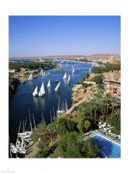 Sailboats in a river, Nile River, Aswan, Egypt | Obraz na stenu