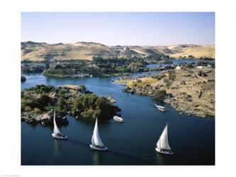 Sailboats in a river, Nile River, Aswan, Egypt | Obraz na stenu