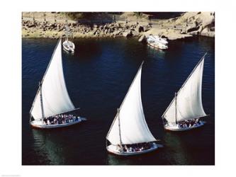 Sailboats in a river, Nile River, Aswan, Egypt | Obraz na stenu