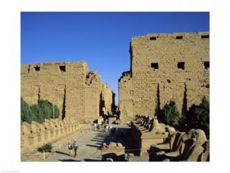 Avenue of the Sphinxes, Temples of Karnak, Luxor, Egypt | Obraz na stenu