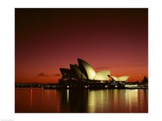 Opera house lit up at night, Sydney Opera House, Sydney, Australia | Obraz na stenu