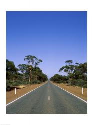 Road passing through a forest, Western Australia, Australia | Obraz na stenu
