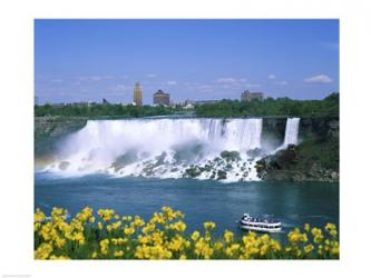 Flowers in front of a waterfall, American Falls, Niagara Falls, New York, USA | Obraz na stenu