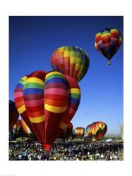 Hot air balloons at the Albuquerque International Balloon Fiesta, Albuquerque, New Mexico, USA | Obraz na stenu