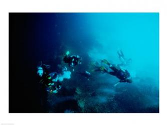 Five scuba divers swimming underwater, Blue Hole, Belize | Obraz na stenu