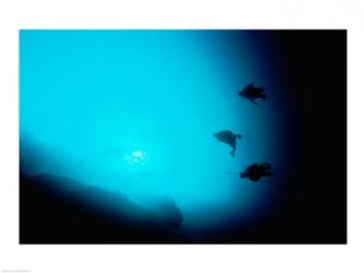 Three scuba divers swimming underwater, Blue Hole, Belize | Obraz na stenu