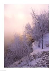 River covered with fog at sunrise | Obraz na stenu