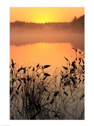 Sunrise over a lake | Obraz na stenu