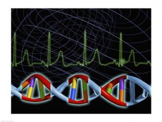 Close-up of the human DNA structure | Obraz na stenu